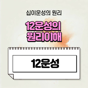 《십이운성》